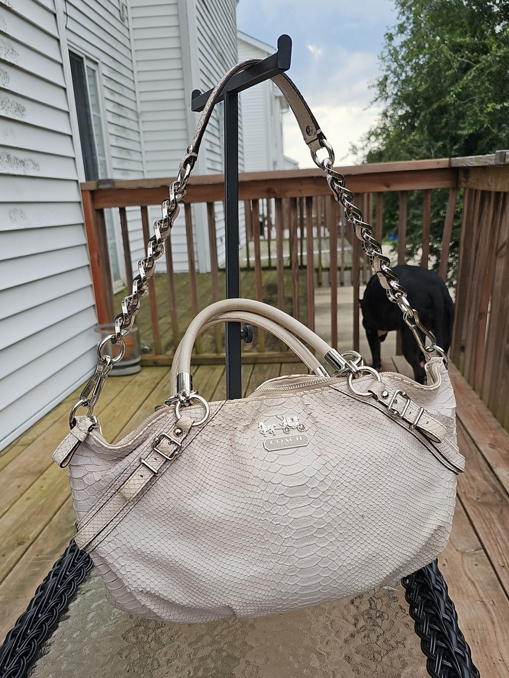 Coach Madison Sophia Python-Embossed Leather Satchel K1098-16346 - Picture 12 of 16